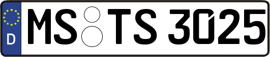 MS-TS3025