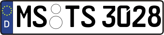 MS-TS3028