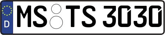 MS-TS3030