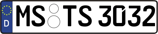 MS-TS3032