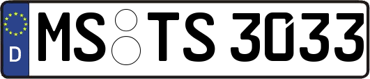 MS-TS3033