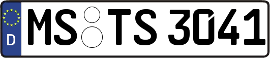MS-TS3041