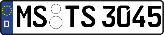 MS-TS3045