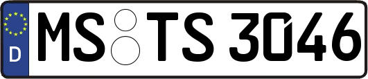 MS-TS3046