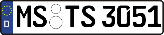 MS-TS3051