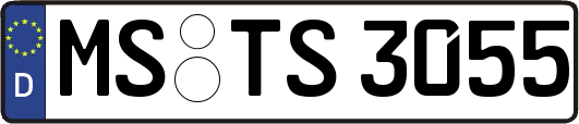 MS-TS3055