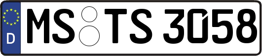 MS-TS3058