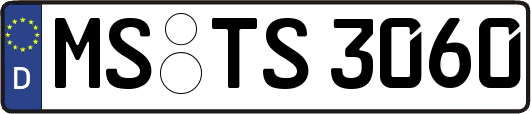 MS-TS3060
