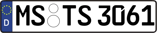 MS-TS3061