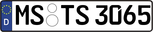 MS-TS3065