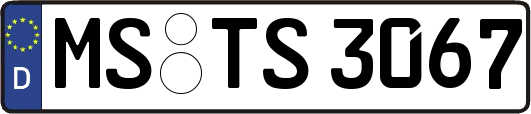 MS-TS3067