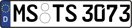 MS-TS3073