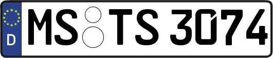 MS-TS3074