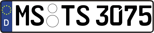 MS-TS3075