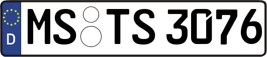 MS-TS3076