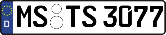 MS-TS3077