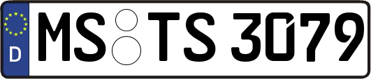 MS-TS3079