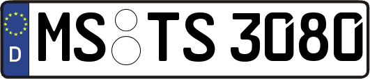 MS-TS3080