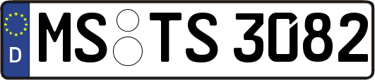 MS-TS3082