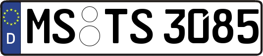 MS-TS3085