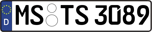 MS-TS3089