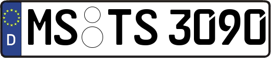 MS-TS3090