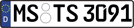 MS-TS3091