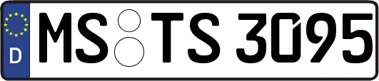 MS-TS3095