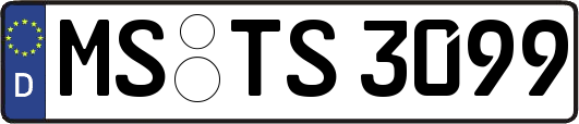 MS-TS3099