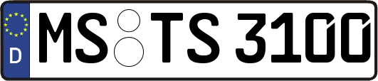 MS-TS3100