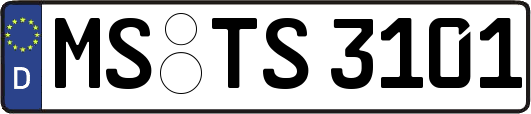 MS-TS3101