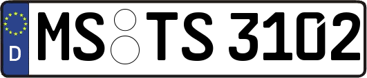 MS-TS3102