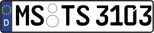 MS-TS3103