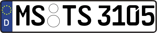 MS-TS3105