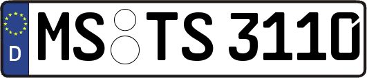 MS-TS3110