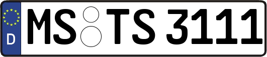 MS-TS3111