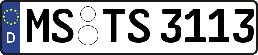 MS-TS3113