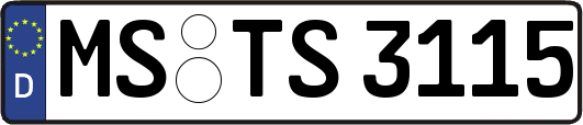 MS-TS3115