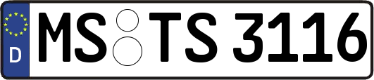 MS-TS3116