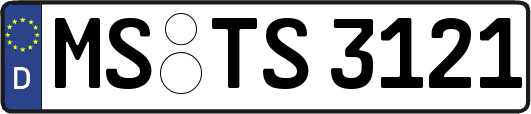 MS-TS3121