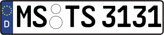 MS-TS3131