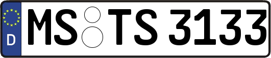 MS-TS3133