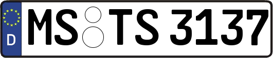 MS-TS3137