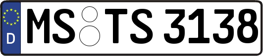 MS-TS3138