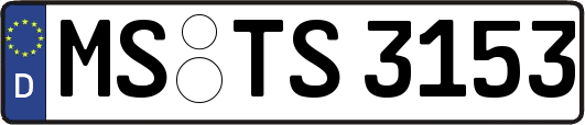MS-TS3153