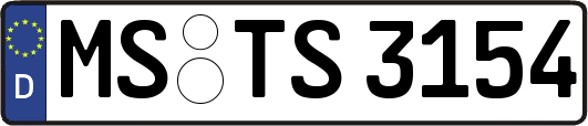 MS-TS3154