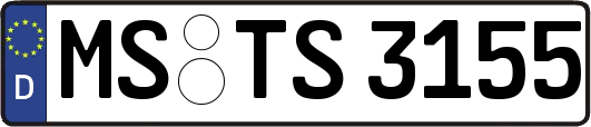 MS-TS3155