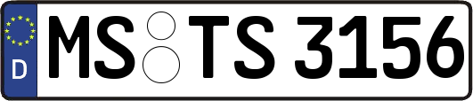MS-TS3156