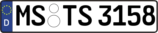 MS-TS3158