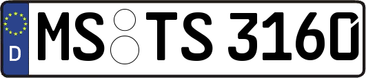 MS-TS3160